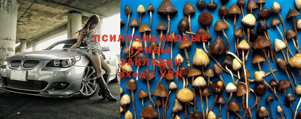 мдпв Ростов