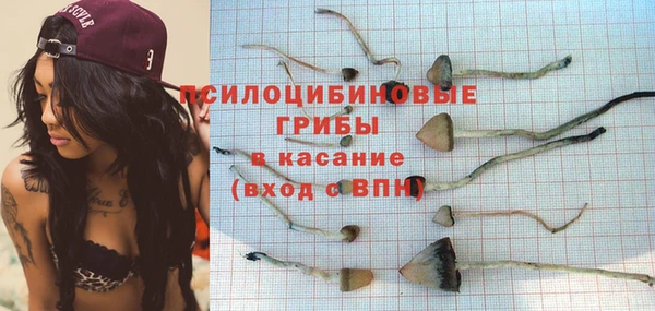 бутират Россошь