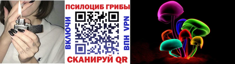 Купить где  Каменка  Галлюциногенные грибы Psilocybe 